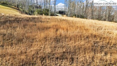 53 Springwinds Dr, Beech Mountain, NC 28604 - photo 5