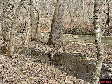 001-04964-003 Jimmie Creek Trail, Yellville, AR 72687 - photo 4