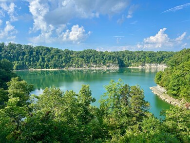 1585 Todd Farm Rd, Nancy, KY 42544 - photo 2