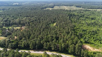 + - 79 Acres unit Leake County MS, Carthage, MS 39051 - photo 2