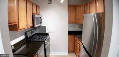 Mica Condominiums unit 1101, Silver Spring, MD 20910 - photo 7