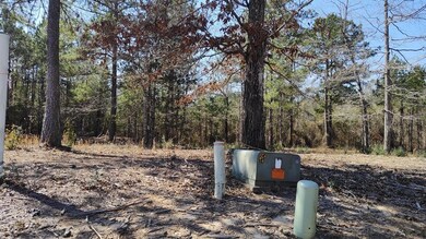 NHN Lot 33 Magenta Ln, Picayune, MS 39466 - photo 3