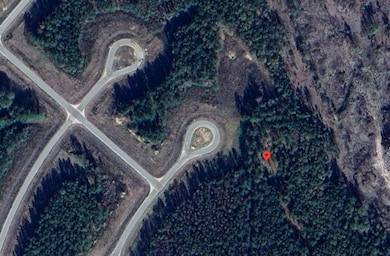 5016 Road 5897, Cleveland, TX 77327 - photo 3