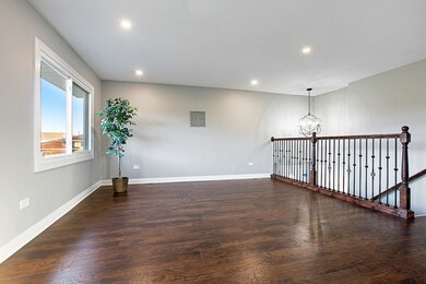 18041 Soleri Dr, Country Club Hills, IL 60478 - photo 4