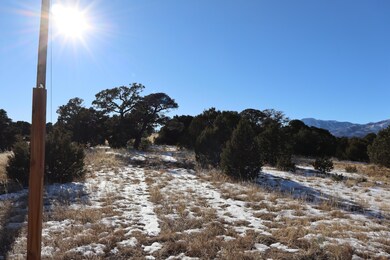 0 Shawnee Cir unit Lot 89, Walsenburg, CO 81089 - photo 5