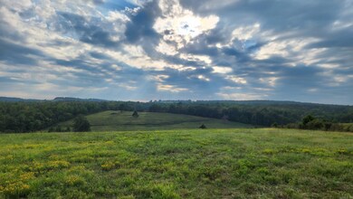 220 +/- Plumlee Rd, Compton, AR 72624 - photo 2