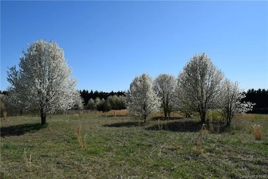 00 Evondale Rd, Crouse, NC 28033 - photo 5