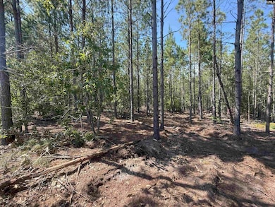 KF 2 State Road S-28-354 unit KF 2, Kershaw, SC 29067 - photo 4