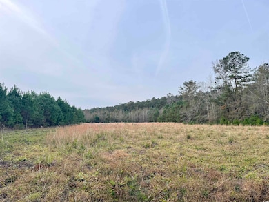 Lot 1 - TBD New Pine Rd, Johnsonville, SC 29555 - photo 5