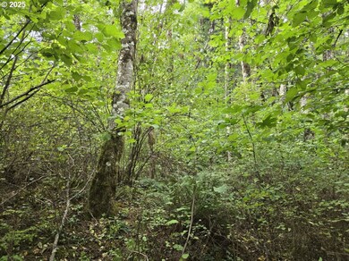 1225 SW Ryan Allen Rd, Stevenson, WA 98648 - photo 5