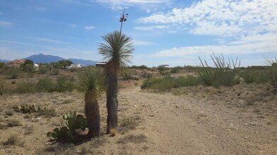 2401 E Skywatchers Dr, Vail, AZ 85641 - photo 5