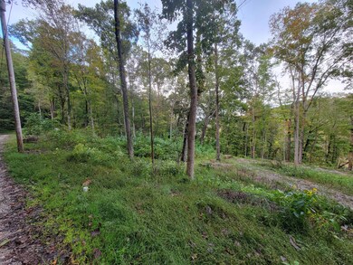 150 Punch's End, Burnside, KY 42519 - photo 6