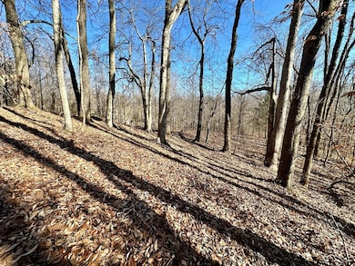 0 Shady Creek Ln, Byrdstown, TN 38549 - photo 6