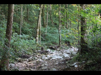 74.45 AC Macedonia Rd, Cookeville, TN 38506 - photo 6