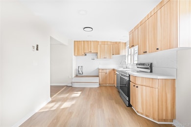 Kitchen featuring light brown cabinets, stainless steel appliances, modern cabinets, light countertops, and light wood-style flooring