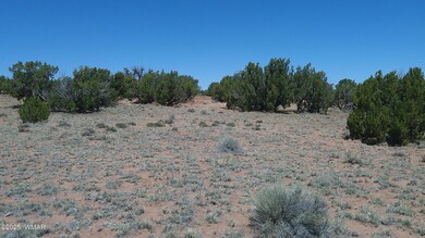 0 Rio Ranch, Concho, AZ 85924 - photo 6