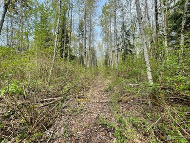 16201 30th Ave NW, Lake Goodwin, WA 98292 - photo 5