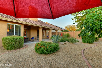 Another Backyard view