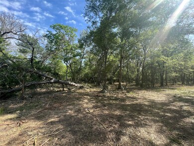 0 Cr 400 Tract 4, Brazoria, TX 77422 - photo 6