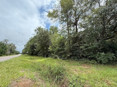 Summer Dr unit LotWP002, Barnwell, SC 29812 - photo 3