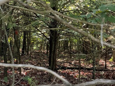 0 N Bk 1500 Rd unit 2515986, Stigler, OK 74462 - photo 3