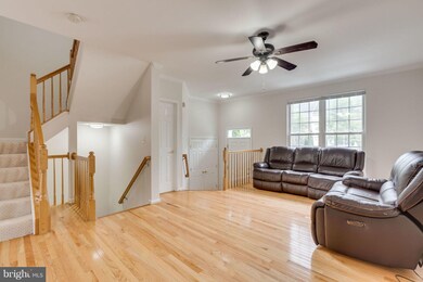 43448 Jubilee St, Chantilly, VA 20152 - photo 4