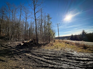 0 Langford Creek Rd unit LotWP001, van Etten, NY 14889 - photo 7