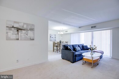 7903 Dassett Ct unit 304, Annandale, VA 22003 - photo 7