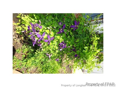 576 Glensford Dr, Fayetteville, NC 28314 - photo 2