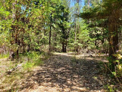 Southern Oregon Land 2