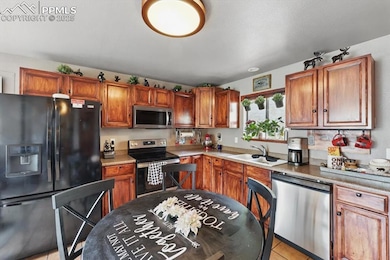 1184 Bennett Dr, Cripple Creek, CO 80813 - photo 6