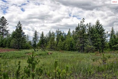 Lot B7 Northern Sky Rd, Athol, ID 83801 - photo 2