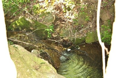 00 Old Station Rd, West Union, SC 29696 - photo 3