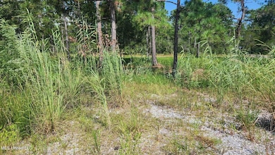 Lot 140 Ruby St, Bay St. Louis, MS 39520 - photo 4