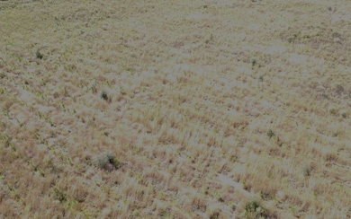 TBD Hawaca Dr, McAlpin, FL 32062 - photo 7