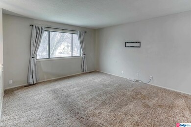 4617 N 130th Cir, Omaha, NE 68164 - photo 6