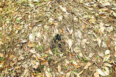 305 Dolan Rd, Northfield, VT 05663 - photo 5