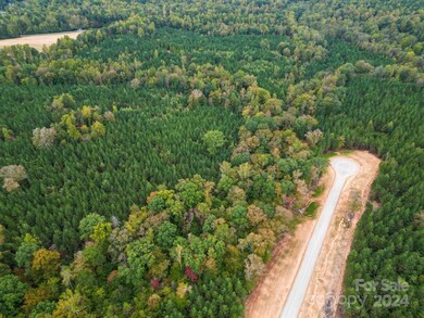 7C Hidden Forest Dr unit 7C, Denver, NC 28037 - photo 4