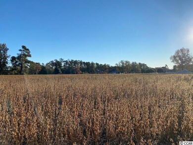 27.9 Acs Highway 65, Conway, SC 29526 - photo 6