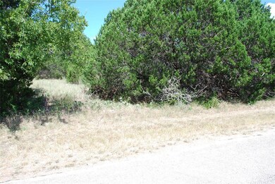 4097 Whitecrest Dr, Whitney, TX 76692 - photo 7