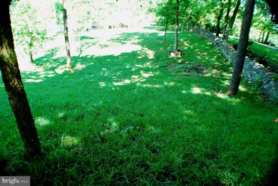 109 Launchris Dr, Winchester, VA 22602 - photo 3