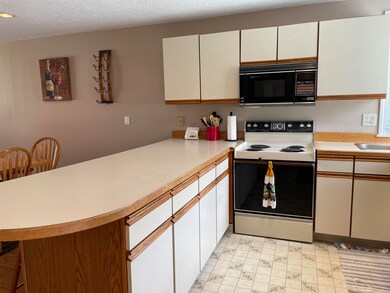 50 Patch Pond Rd unit 20, Center Ossipee, NH 03814 - photo 5