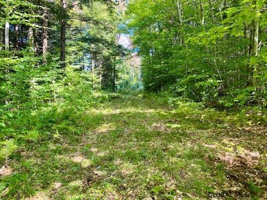 7477 Wileytown Rd, Middle Grove, NY 12850 - photo 3