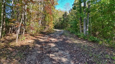 0 Allen Rosen Rd, Dillwyn, VA 23936 - photo 7