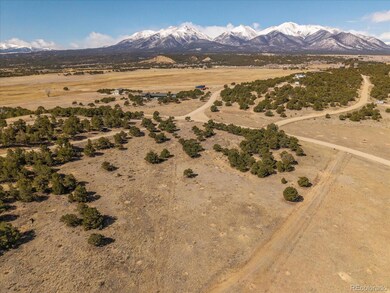 10246 Rawhide Creek Rd, Nathrop, CO 81236 - photo 4