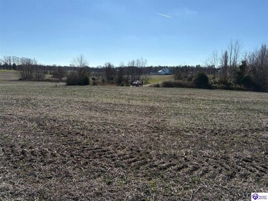 245 Owl Creek Dr, Vine Grove, KY 40175 - photo 5