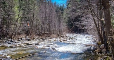 151 Guy Covington Dr, Trinity Center, CA 96091 - photo 7