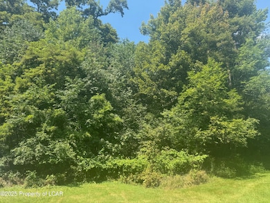 138 S Keyser Ave, Scranton, PA 18504 - photo 2