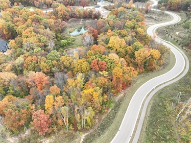 dji_fly_20241023_111152_75_1729698081846