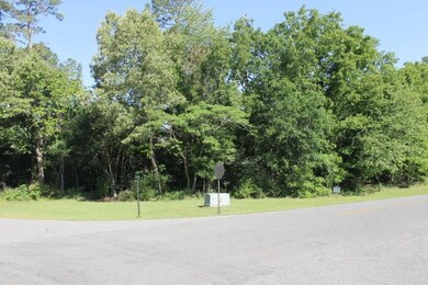 0 Timberlane Dr, Americus, GA 31709 - photo 2